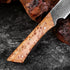 WOKNIVES™ Premium 5.5-Inch Japanese Damascus Steel Utility Knife – Full Tang Pakkawood Handle Curved Peeling Blade