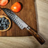 WOKNIVES™ Premium Damascus Steel Chef Knife Set – Japanese VG10 67-Layer Blade with Curved Pakkawood Handle