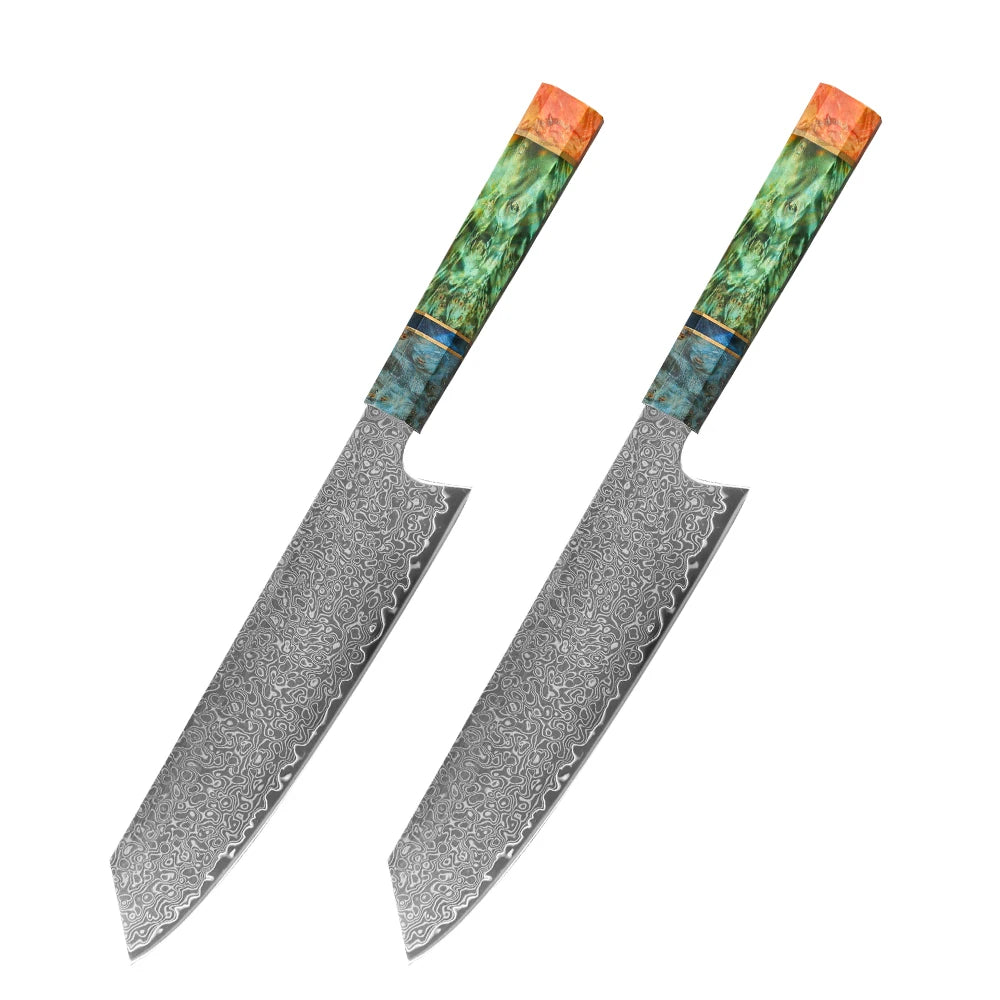 WOKNIVES™ Premium 8-Inch Damascus Chef Knife – 67-Layer VG10 Core with Unique Stabilized Colored Wood Handle