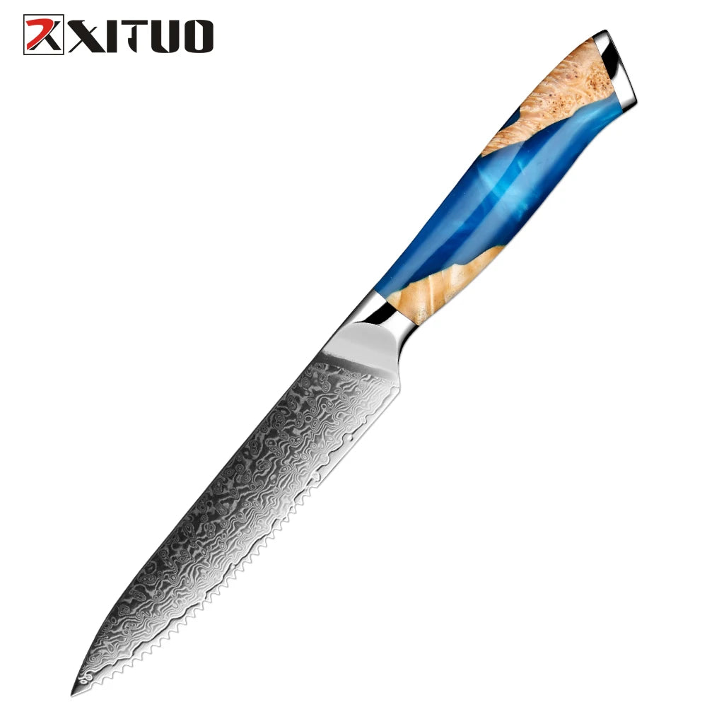 XITUO Damascus Kitchen Knife Set HighQuality 1-7PC Japanese VG10 Steel Chef Knife Cleaver Santoku Boning Fruit Knife Blue Resin